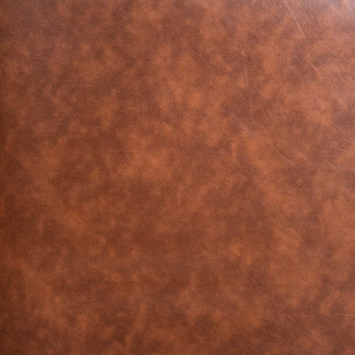 Myles Club Style Commercial Barrel Accent Armchair with 360° Swivel Metal Base and Brown Leathersoft Upholstery with Brass Decorative Nail Head Trim Brown