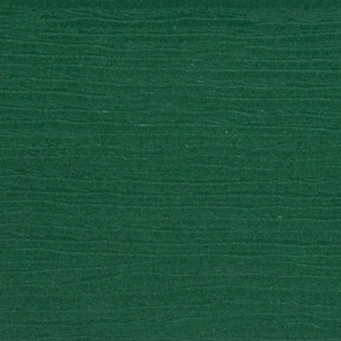 Charlestown Commercial All-Weather Poly Resin Wood Adirondack Chair in Green Green