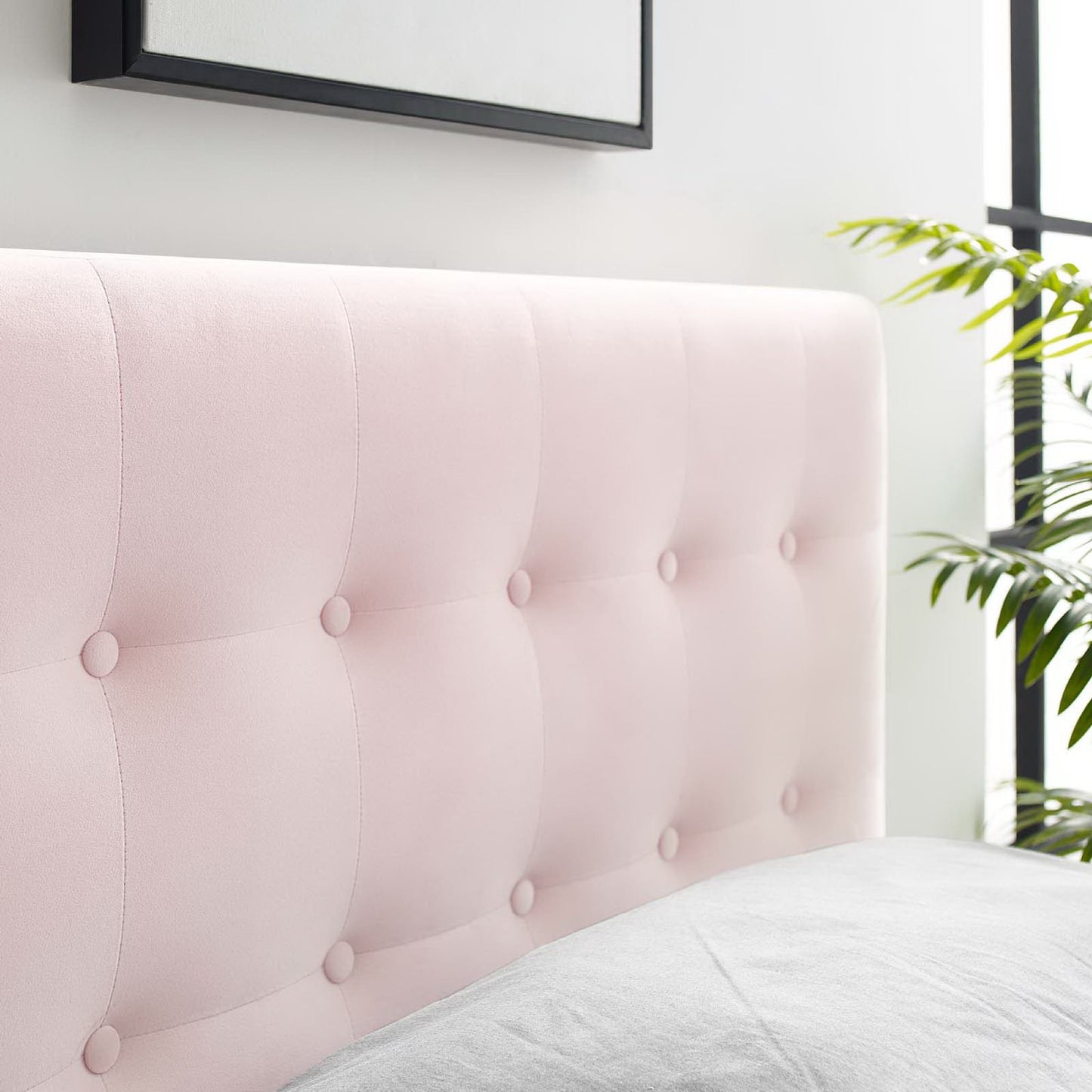 Emily Biscuit Tufted Performance Velvet Twin Headboard by Modway MOD-6114-PNK