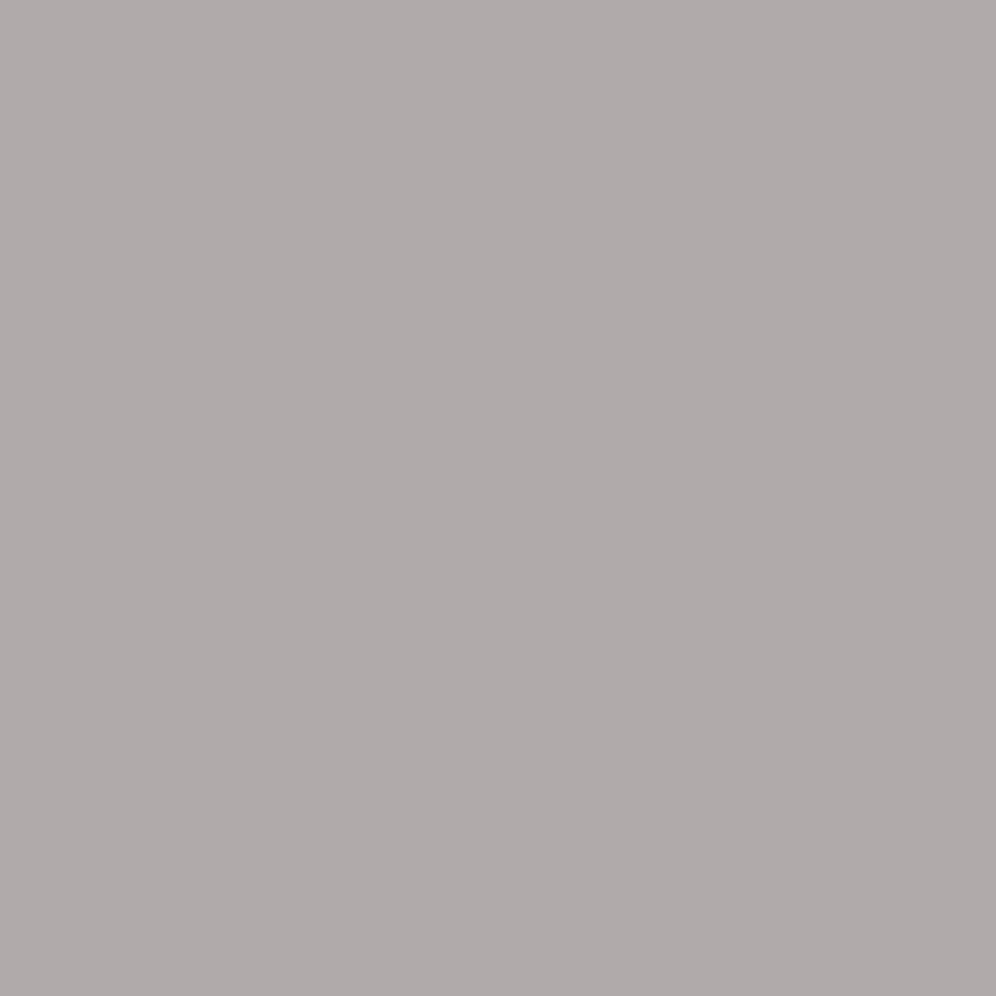 Wren 29''W x 57''L Trapezoid Grey HP Laminate Activity Table - Standard Height Adjustable Legs Gray
