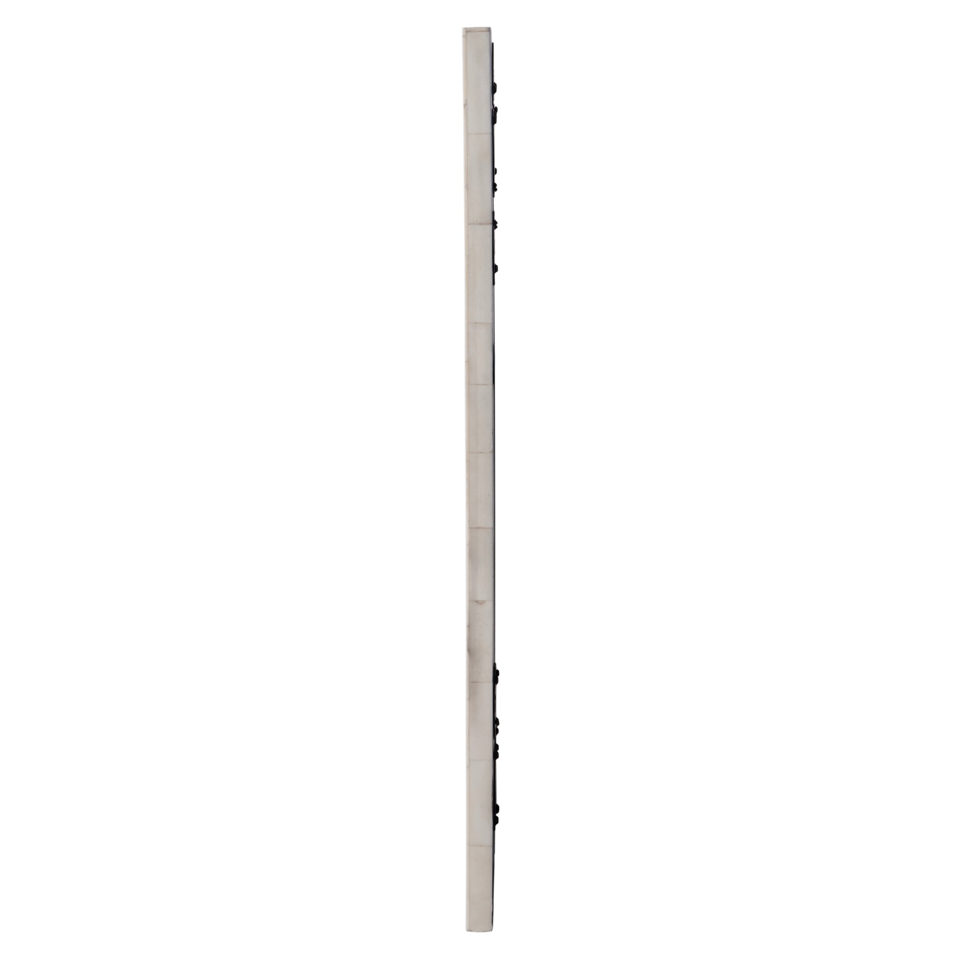 Butler Specialty Company Vivienne 16 in. W x 24 in. H Rectangular Bone Inlay Horizontal or Vertical Hanging Accent Wall Mirror, Green, White