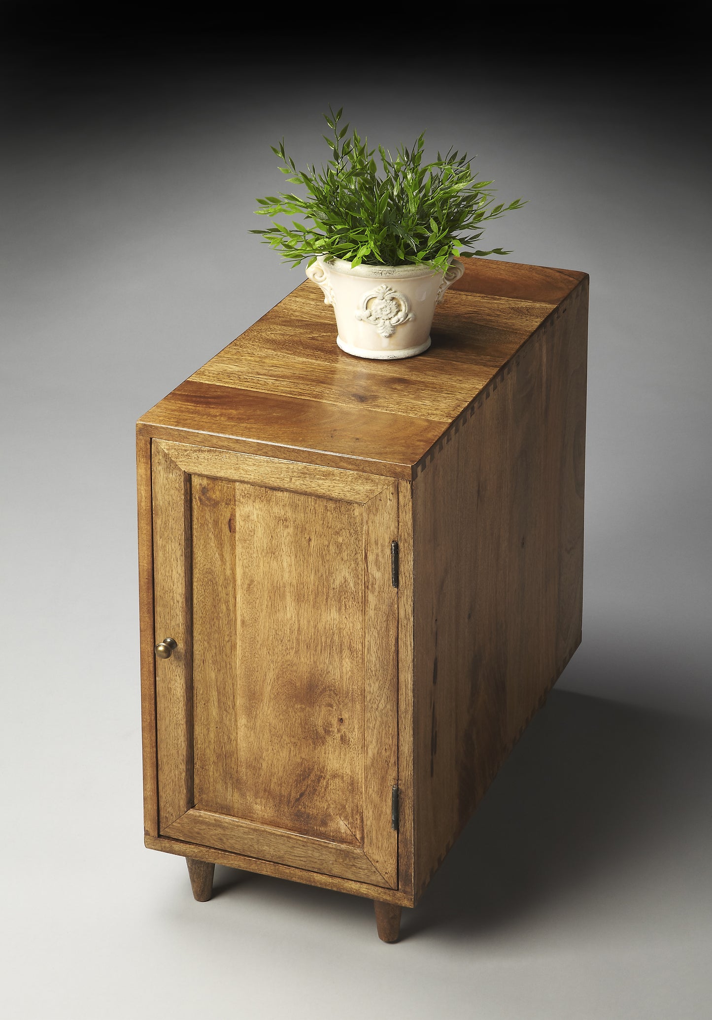 Butler Specialty Company Conrad 12 in. W Rectangular Wood 1 Door Modern End Table, Light Brown