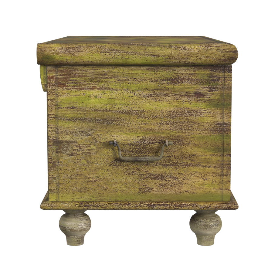 Mesa Carved Wood Trunk Coffee Table in Assorted  3140290