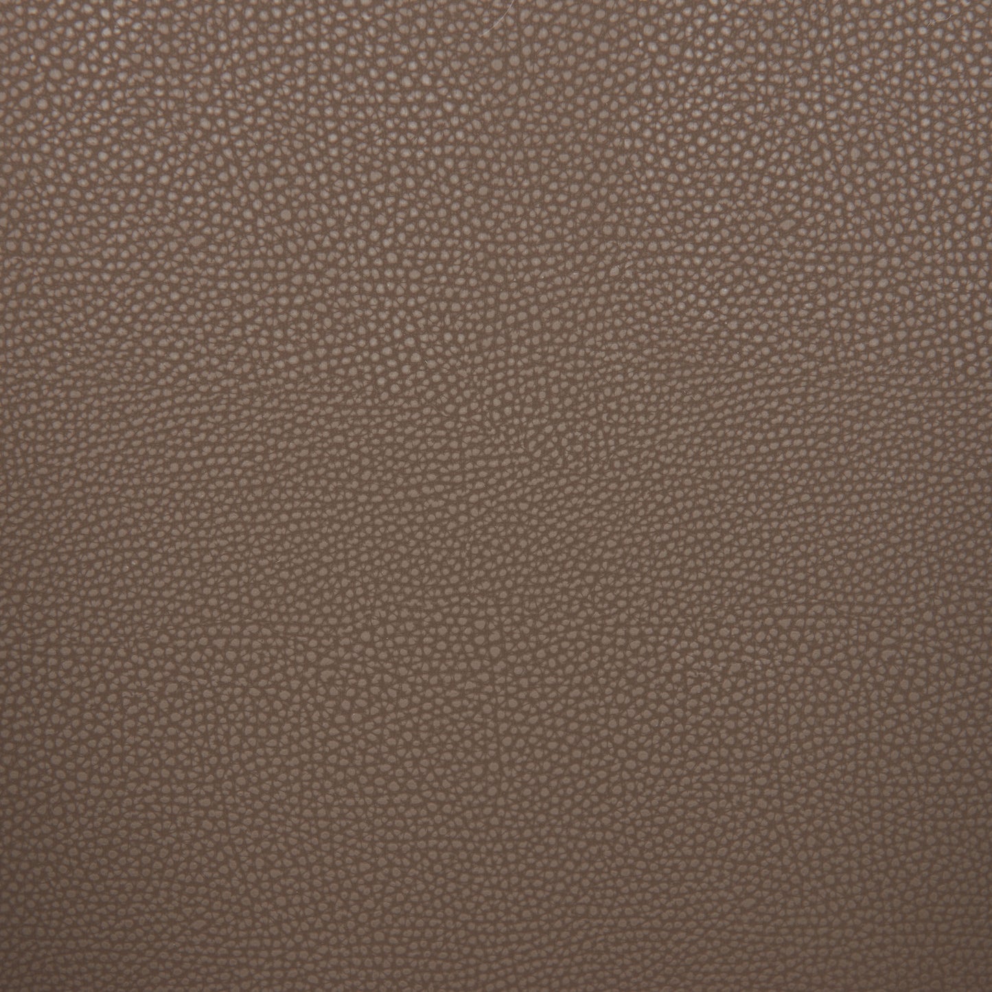 Brew Dining Chair Brown & Walnut - 7