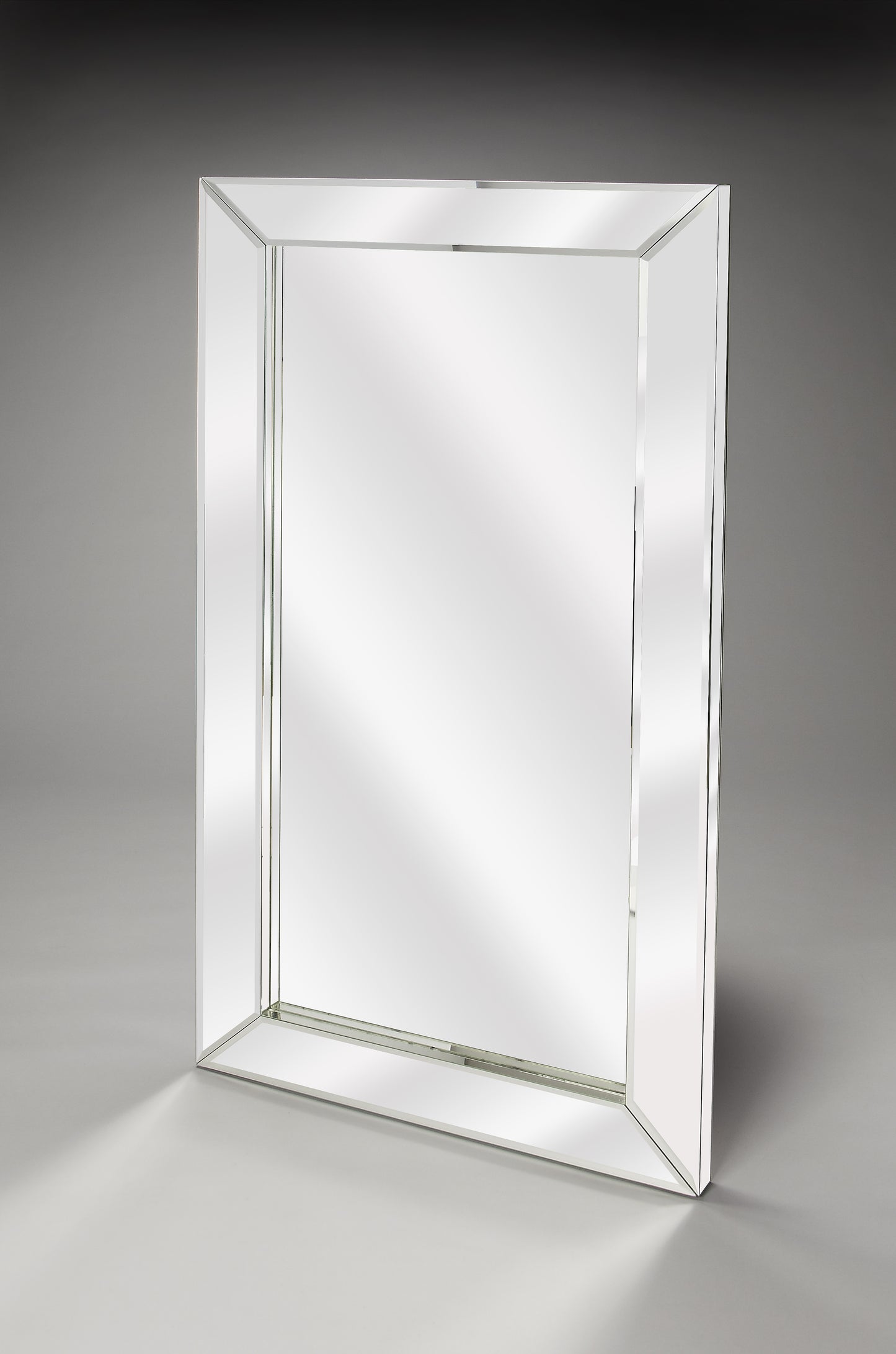 Butler Specialty Company Emerson 31.5 in. W x 59 in. H Rectangular Mirrored Frame Wall Mirror, Clear