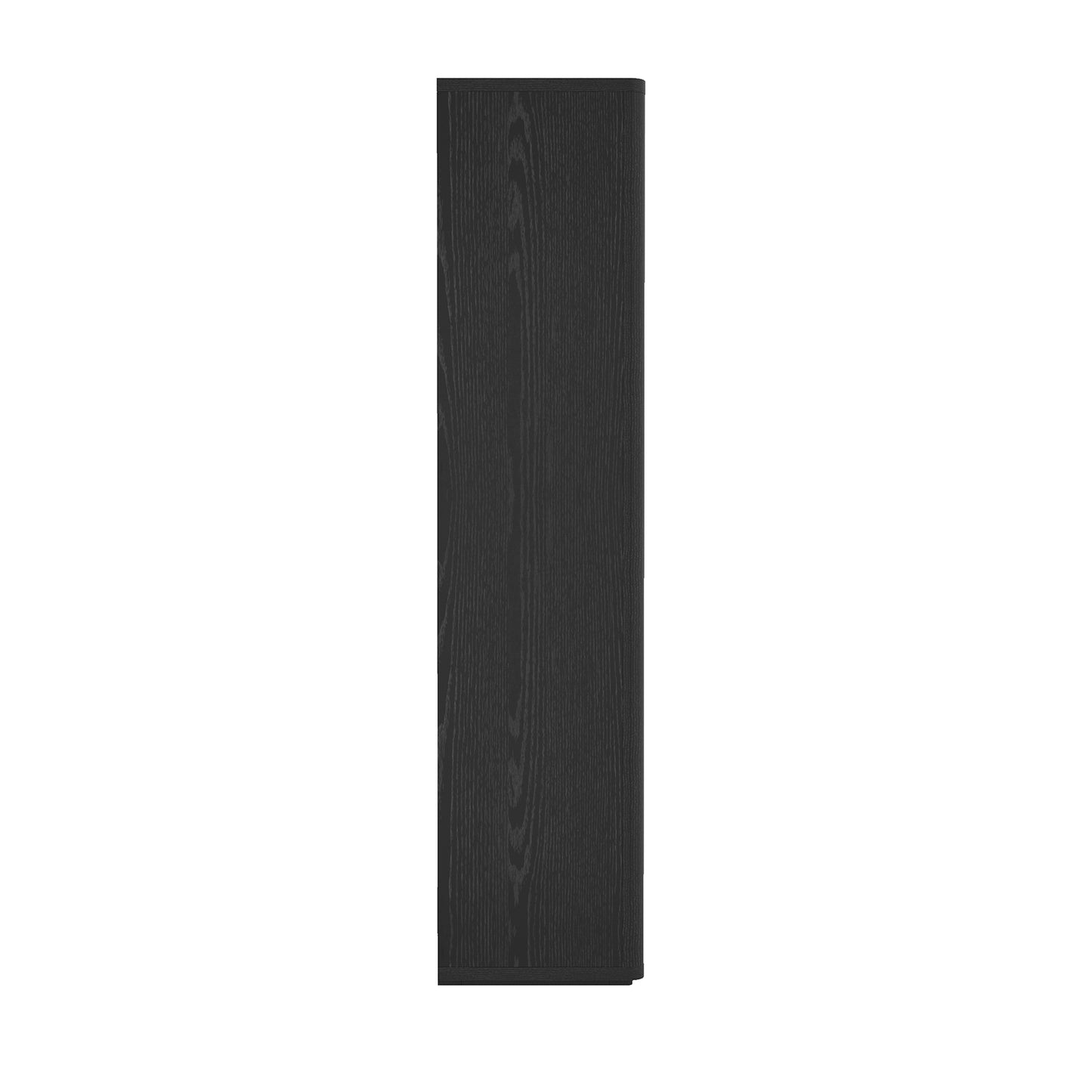 Rivington Modern 38" Bookcase Cabinet in Black BC005-BK