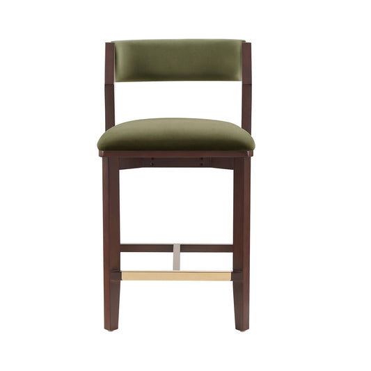 Patricia Modern Wood Upholstered Counter Stool in Turtle Green CS023-GR