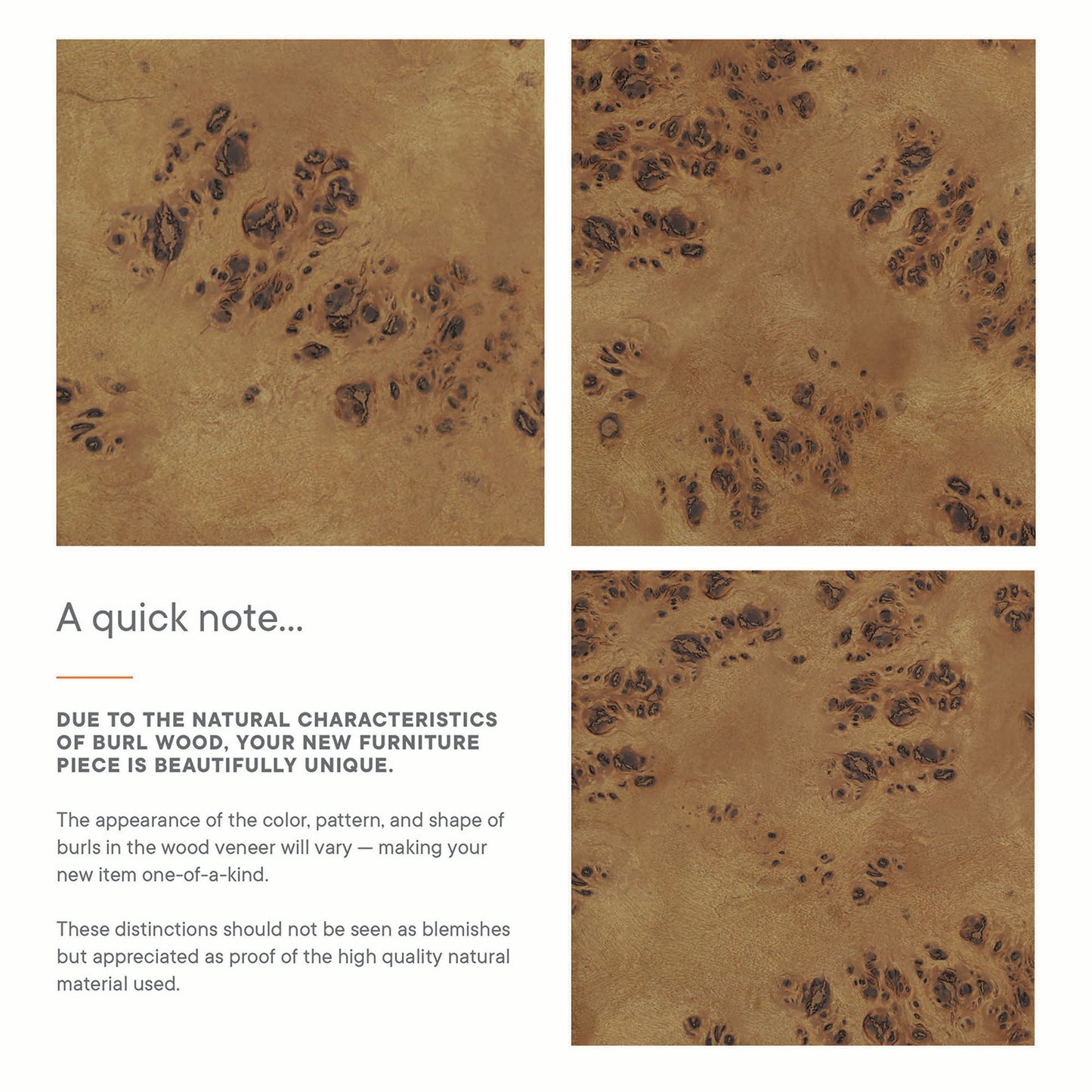 Elysian 30" Bathroom Vanity Cabinet (Sink Basin Not Included) by Modway