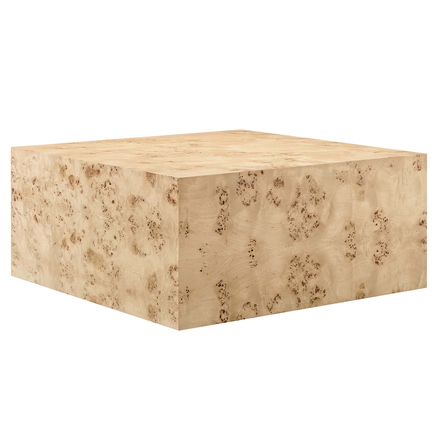 Cosmos 36" Square Burl Wood Coffee Table by Modway EEI-6272-NAB