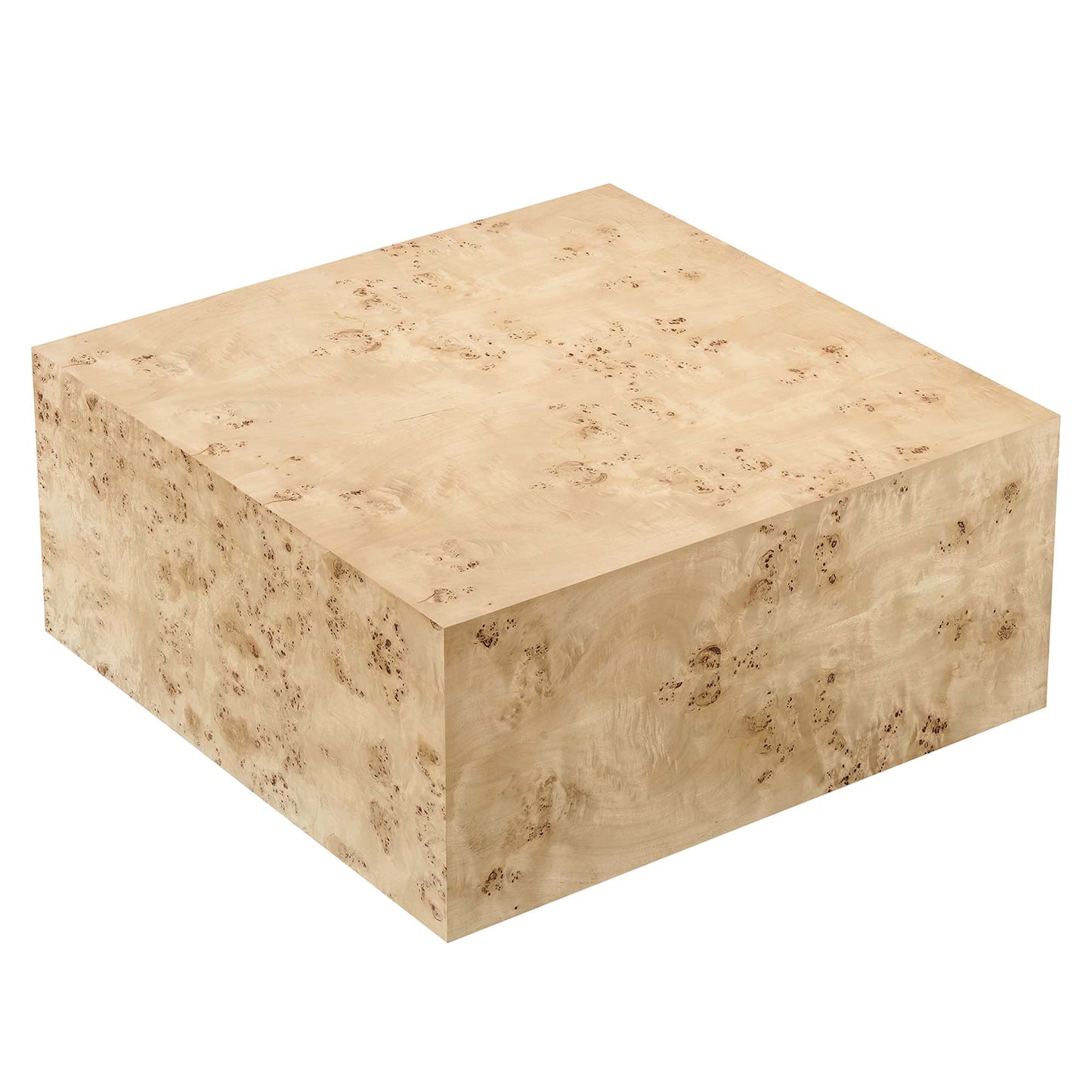 Cosmos 36" Square Burl Wood Coffee Table by Modway EEI-6272-NAB