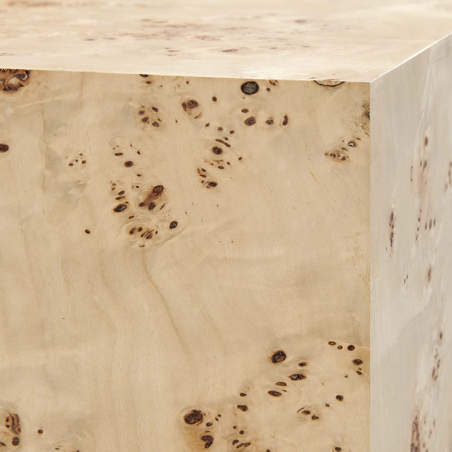 Cosmos 36" Square Burl Wood Coffee Table by Modway EEI-6272-NAB