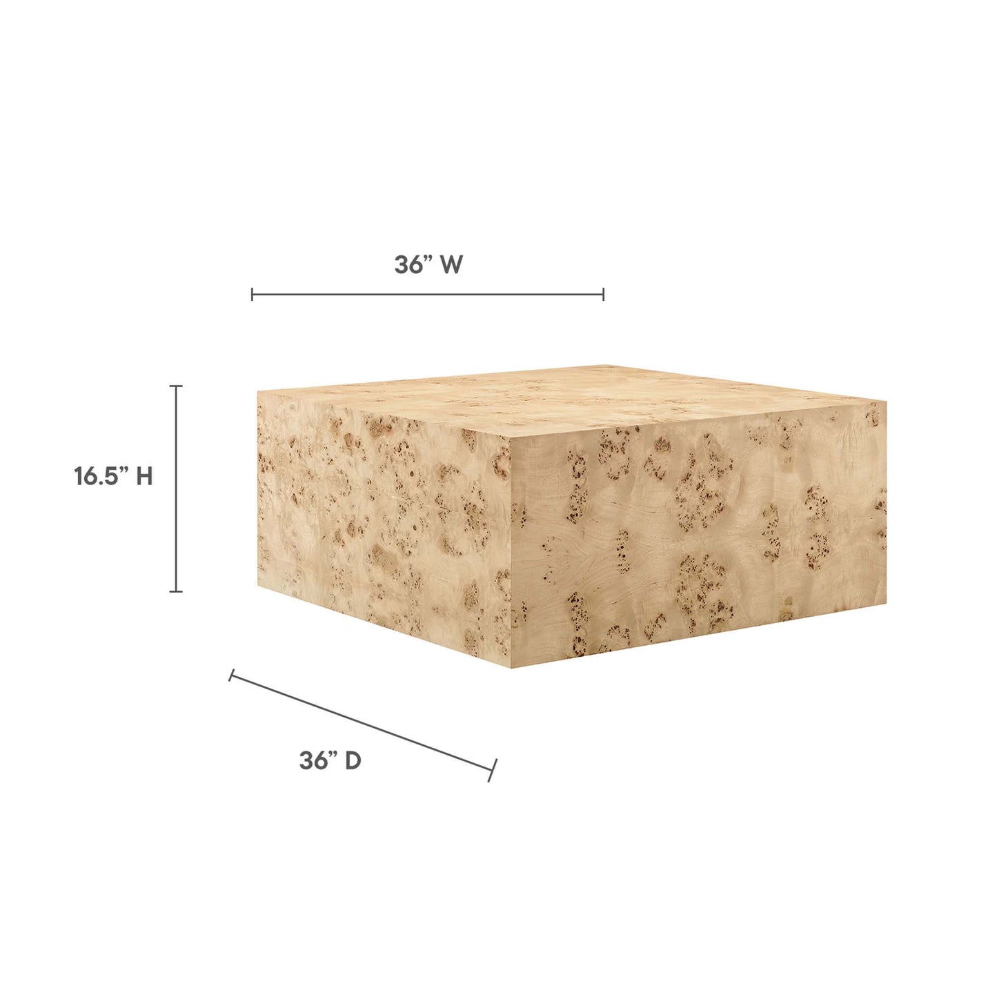 Cosmos 36" Square Burl Wood Coffee Table by Modway EEI-6272-NAB