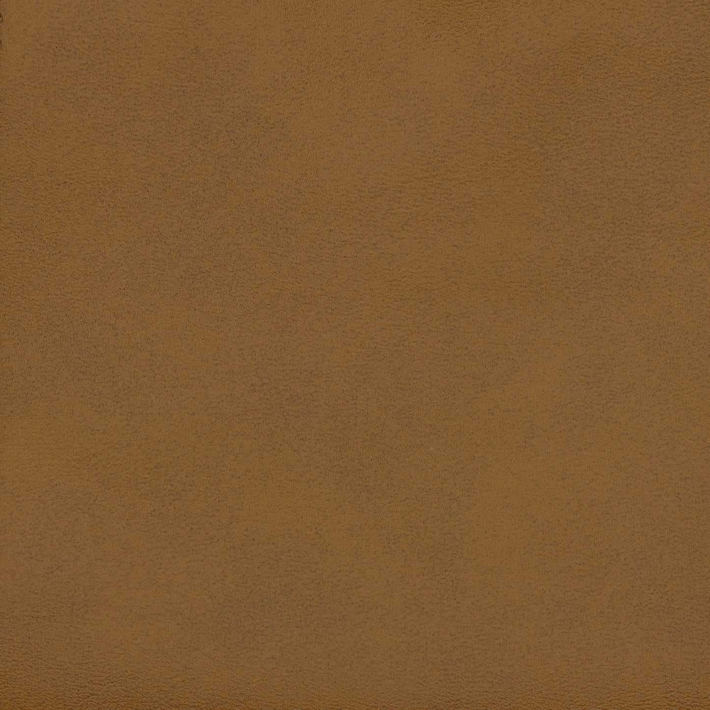 Auren 6-Piece Upholstered Vegan Leather Modular Sofa by Modway EEI-7134-CAM