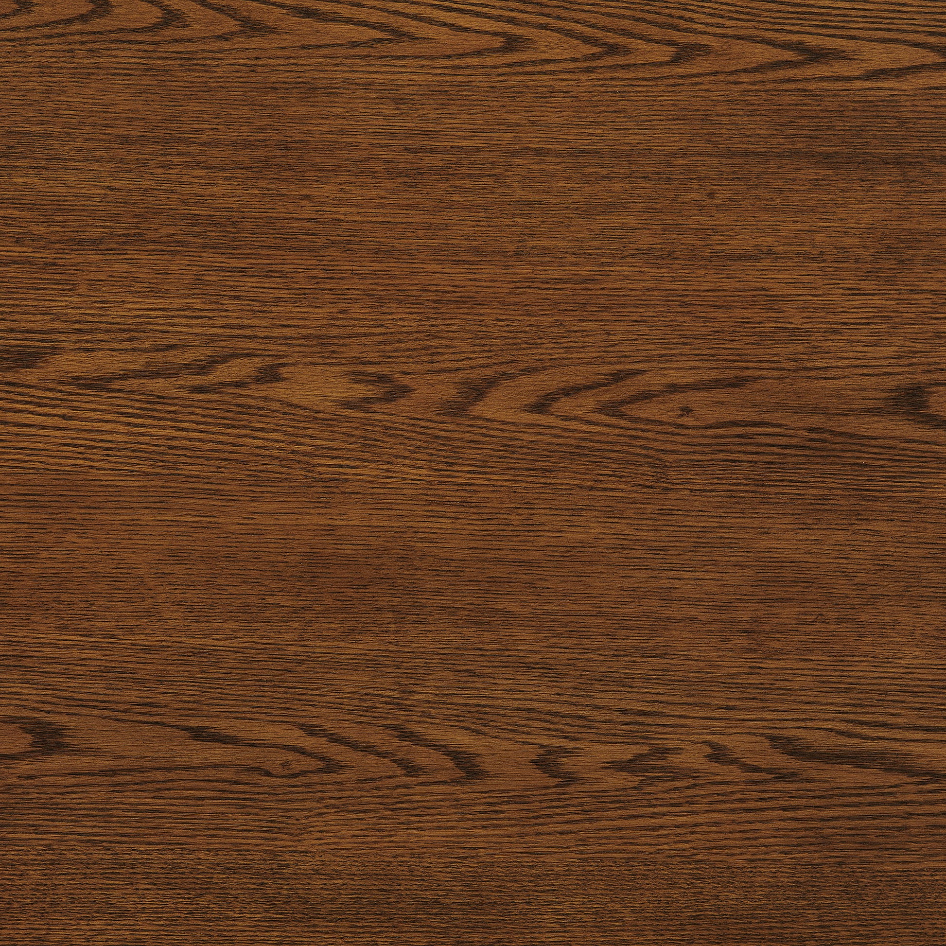 Renwick 47 Inch Oak Veneer Round Pedestal Dining Table by Modway