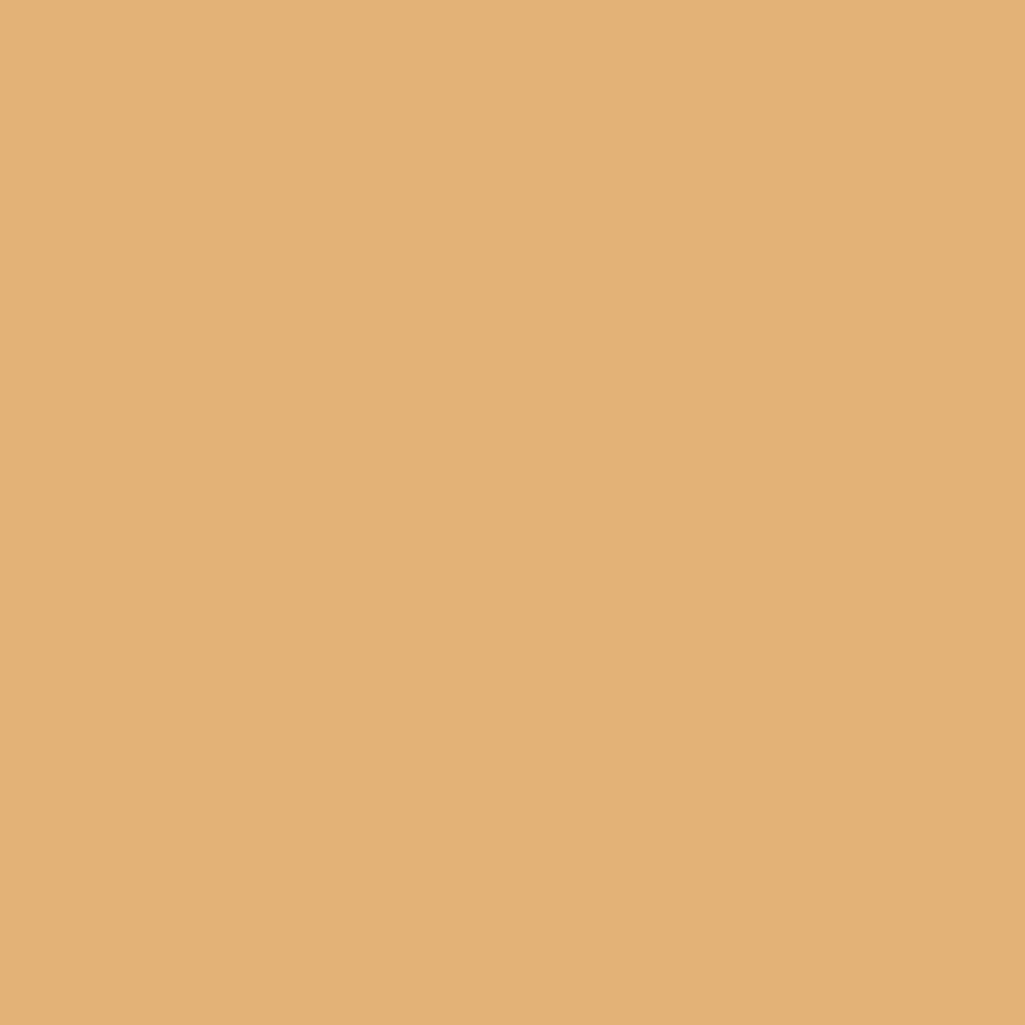 Kona Tan 9 FT Round Umbrella with Crank and Tilt Function and Standing Umbrella Base Tan