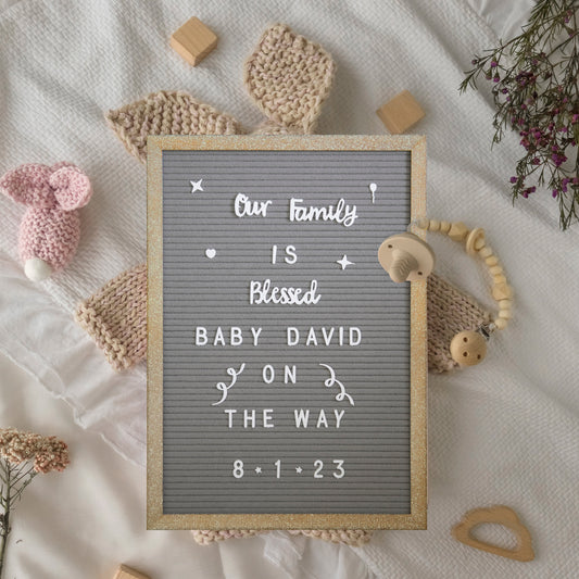 Gracie 12x17 Felt Letter Board with Wooden Frame, 389 PP Letters Including Numbers, Symbols and Icons, Canvas Carrying Case, Weathered Wood/Gray Felt Weathered Wood Frame/Gray Felt