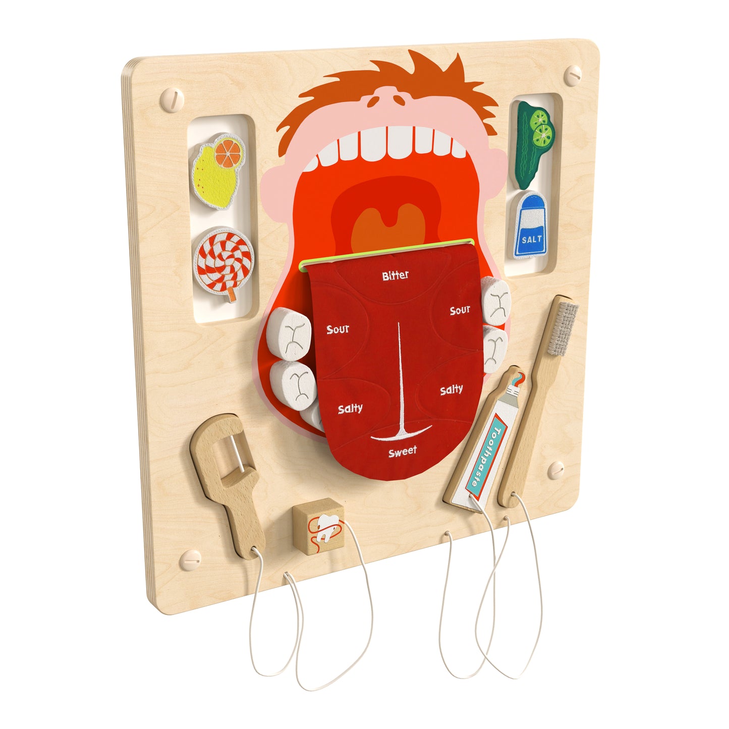 Bright Beginnings Commercial Grade STEAM Wall Activity Board with Natural Finish and Multicolor Accents, Dental Hygiene Beech/Multi