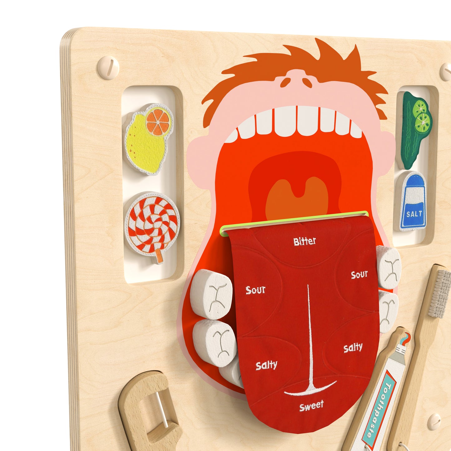 Bright Beginnings Commercial Grade STEAM Wall Activity Board with Natural Finish and Multicolor Accents, Dental Hygiene Beech/Multi
