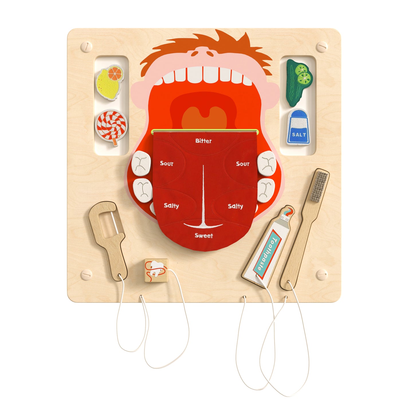 Bright Beginnings Commercial Grade STEAM Wall Activity Board with Natural Finish and Multicolor Accents, Dental Hygiene Beech/Multi