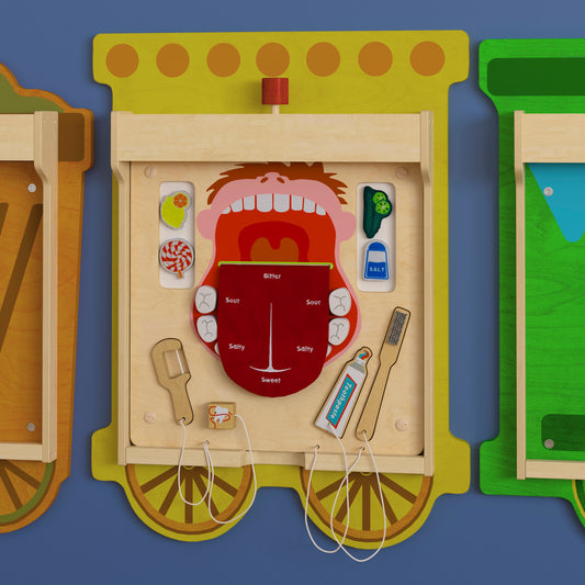 Bright Beginnings Commercial Grade STEAM Wall Activity Board with Natural Finish and Multicolor Accents, Dental Hygiene Beech/Multi