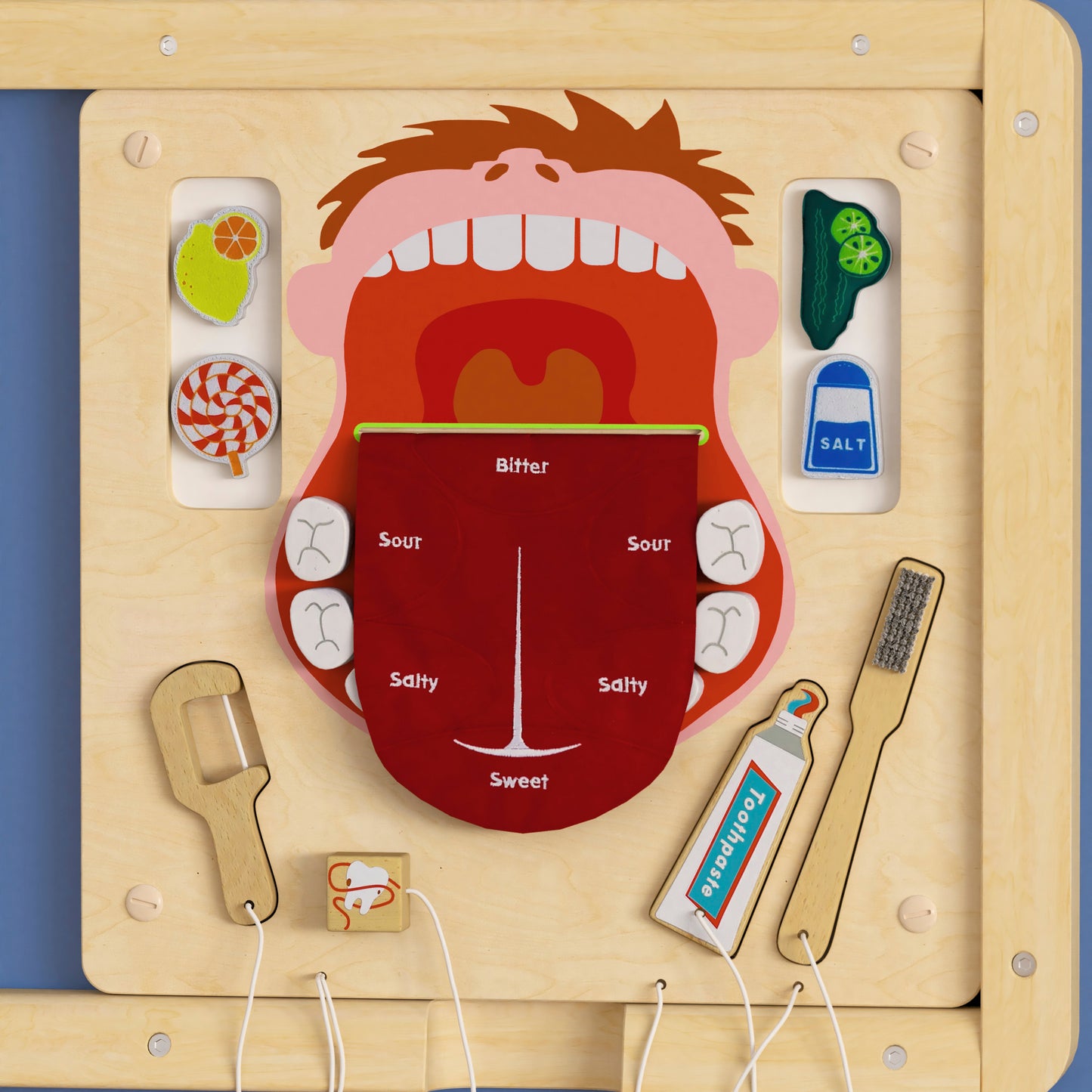Bright Beginnings Commercial Grade STEAM Wall Activity Board with Natural Finish and Multicolor Accents, Dental Hygiene Beech/Multi