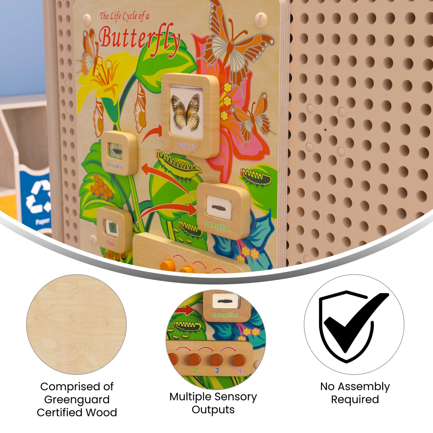 Bright Beginnings Commercial Grade STEAM Wall Activity Board with Natural Finish and Multicolor Accents, Butterfly Life Cycle Beech