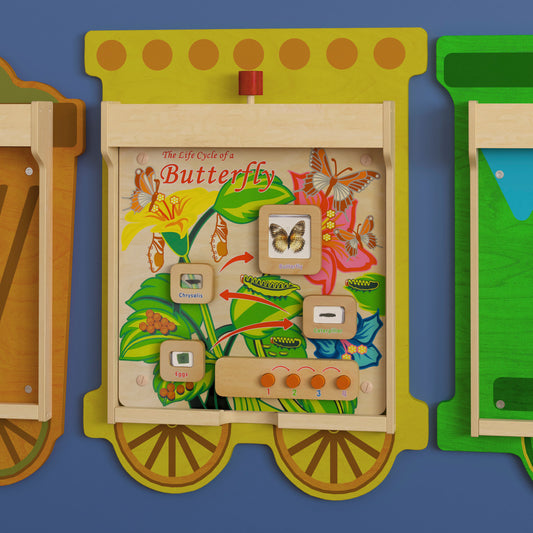 Bright Beginnings Commercial Grade STEAM Wall Activity Board with Natural Finish and Multicolor Accents, Butterfly Life Cycle Beech