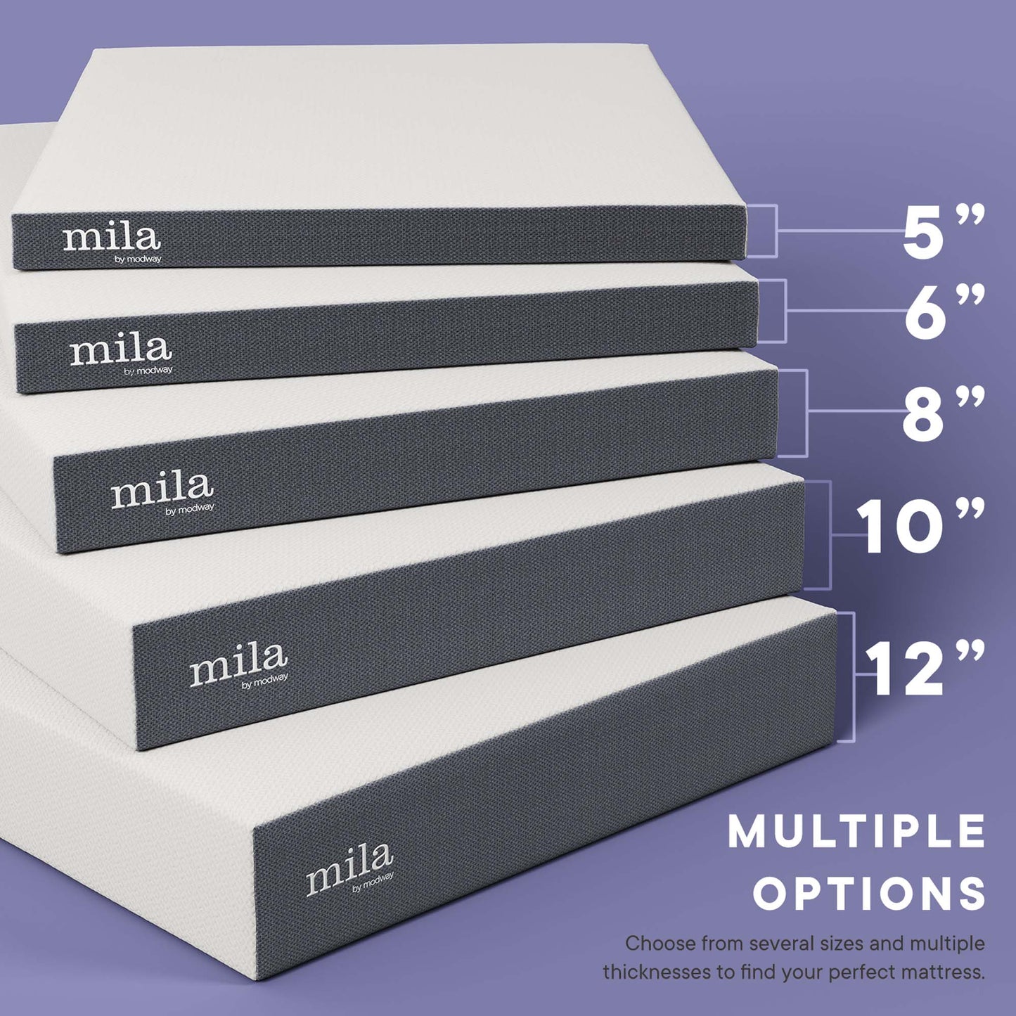 Mila 6" Queen Mattress by Modway MOD-5735-WHI