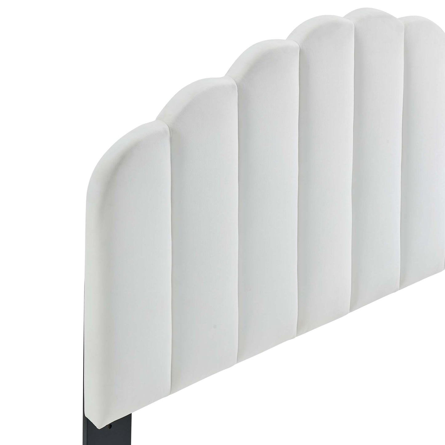 Veronique Performance Velvet Twin Headboard by Modway MOD-6206-WHI