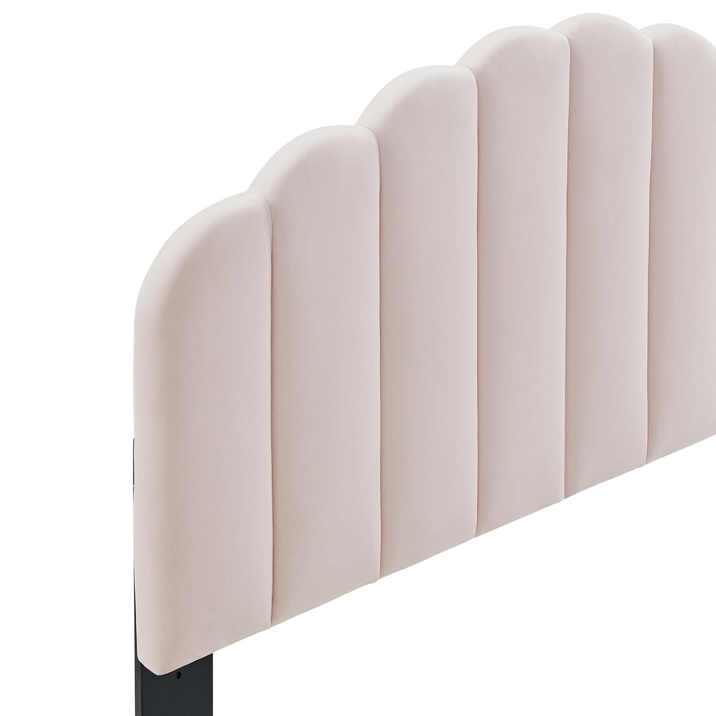 Veronique Performance Velvet Full/Queen Headboard by Modway MOD-6207-PNK
