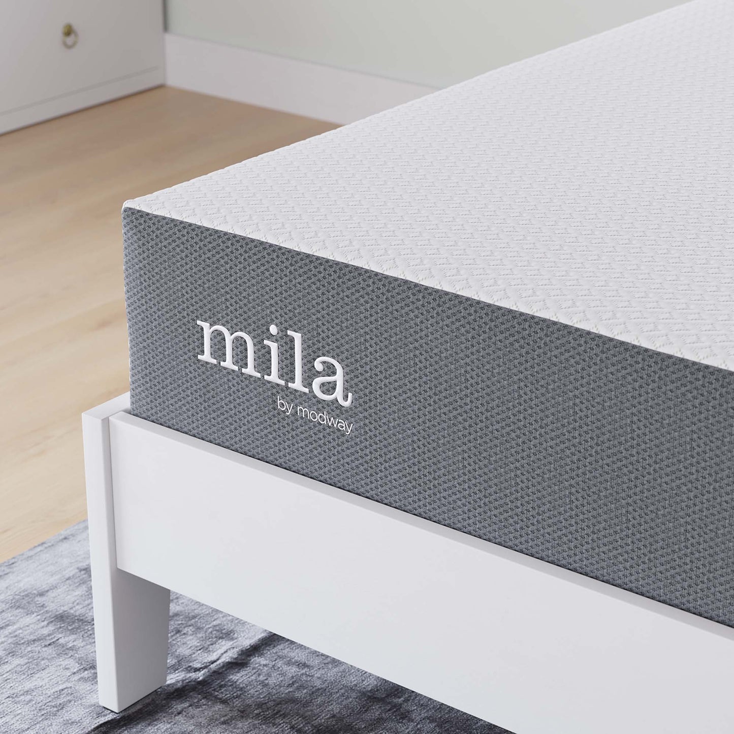 Mila 10" Full Mattress by Modway MOD-6261-WHI