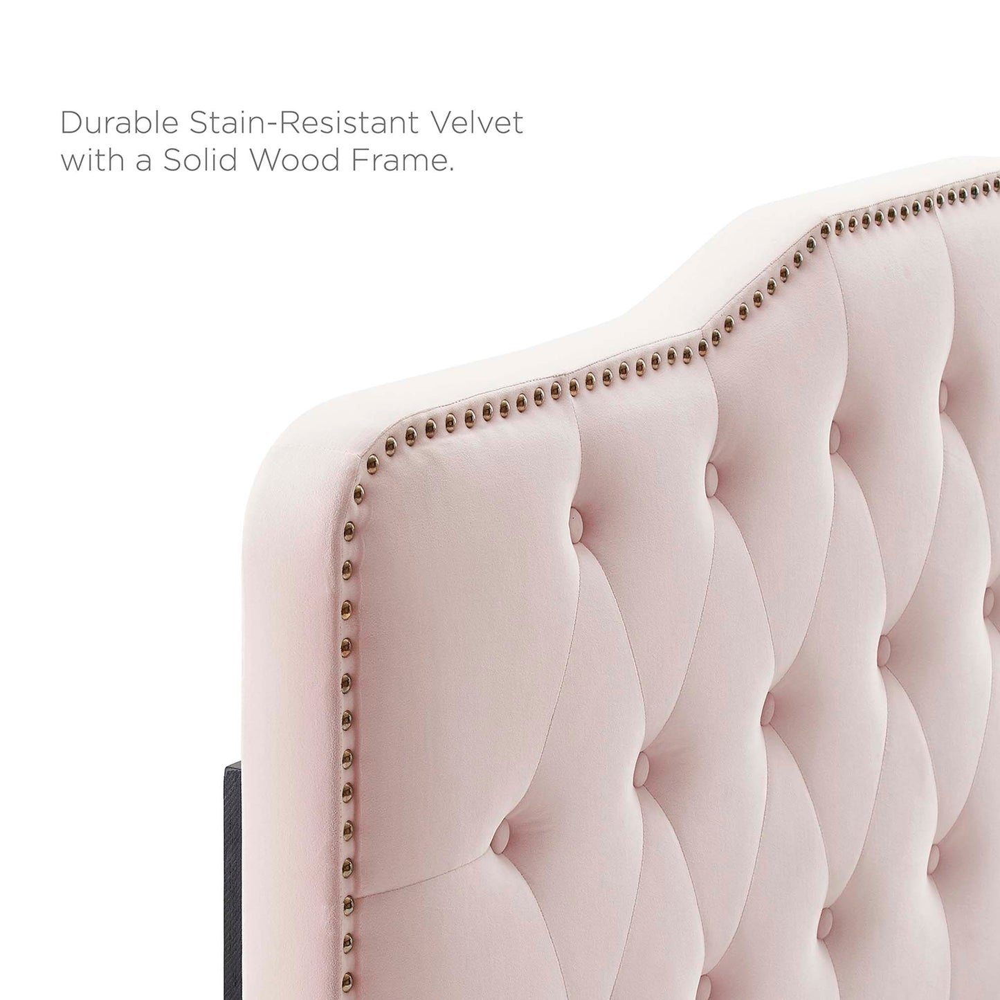 Sophia Tufted Performance Velvet Full/Queen Headboard by Modway MOD-6410-PNK