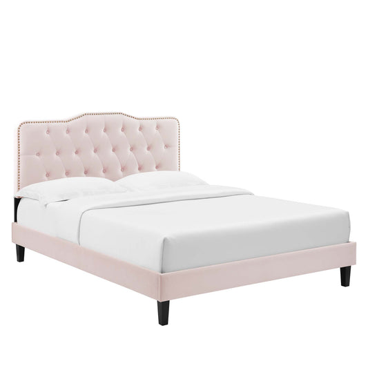 Amber Performance Velvet Queen Platform Bed by Modway MOD-6777-PNK
