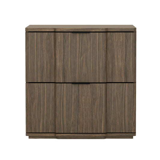 Clive Mid-Century Modern 22" Nightstand in Walnut and Black (2-Drawer) NS1560-6