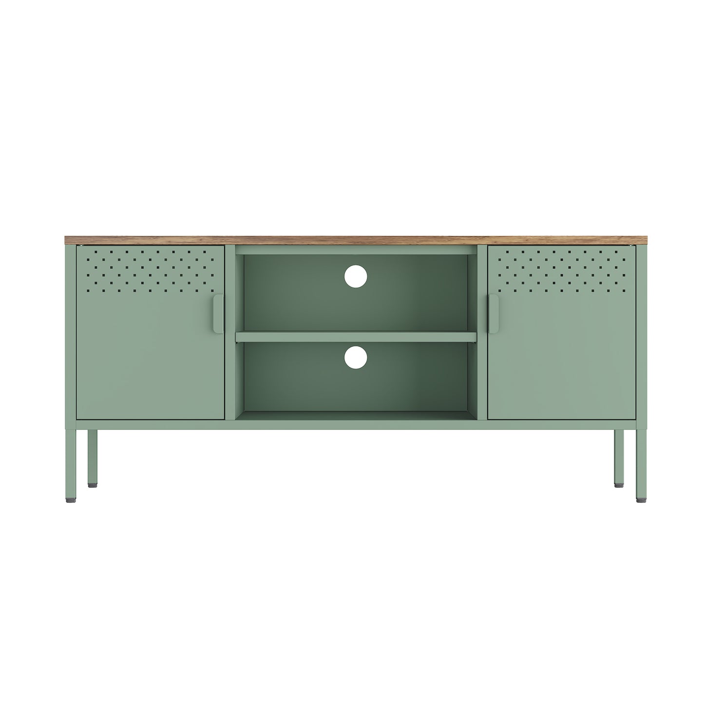 Landen Modern 47" Metal Storage Cabinet in Sage Green TV010-GR