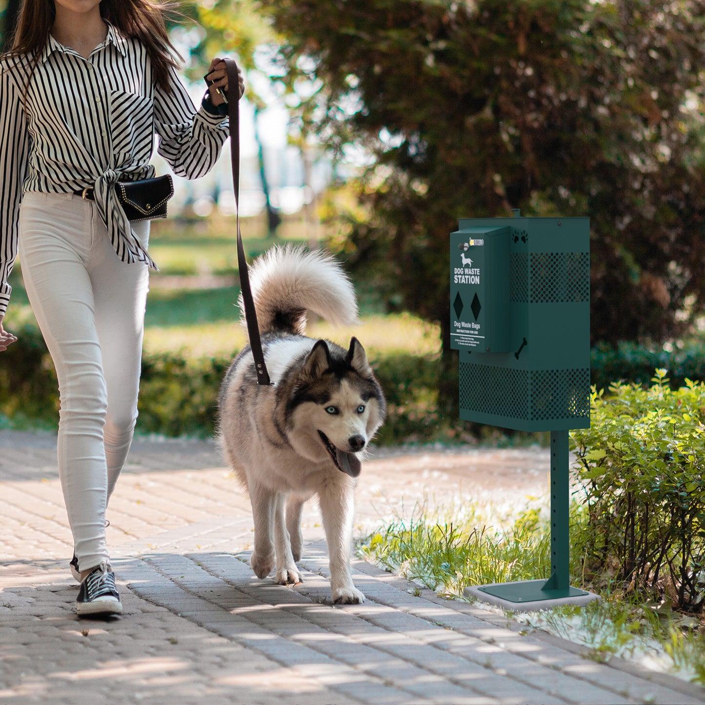 Kessler Compact Dog Waste Station with Rectangular Lidded Trash Can and Locking Roll Waste Bag Dispenser in Green Green YAN-G5S065425-GG