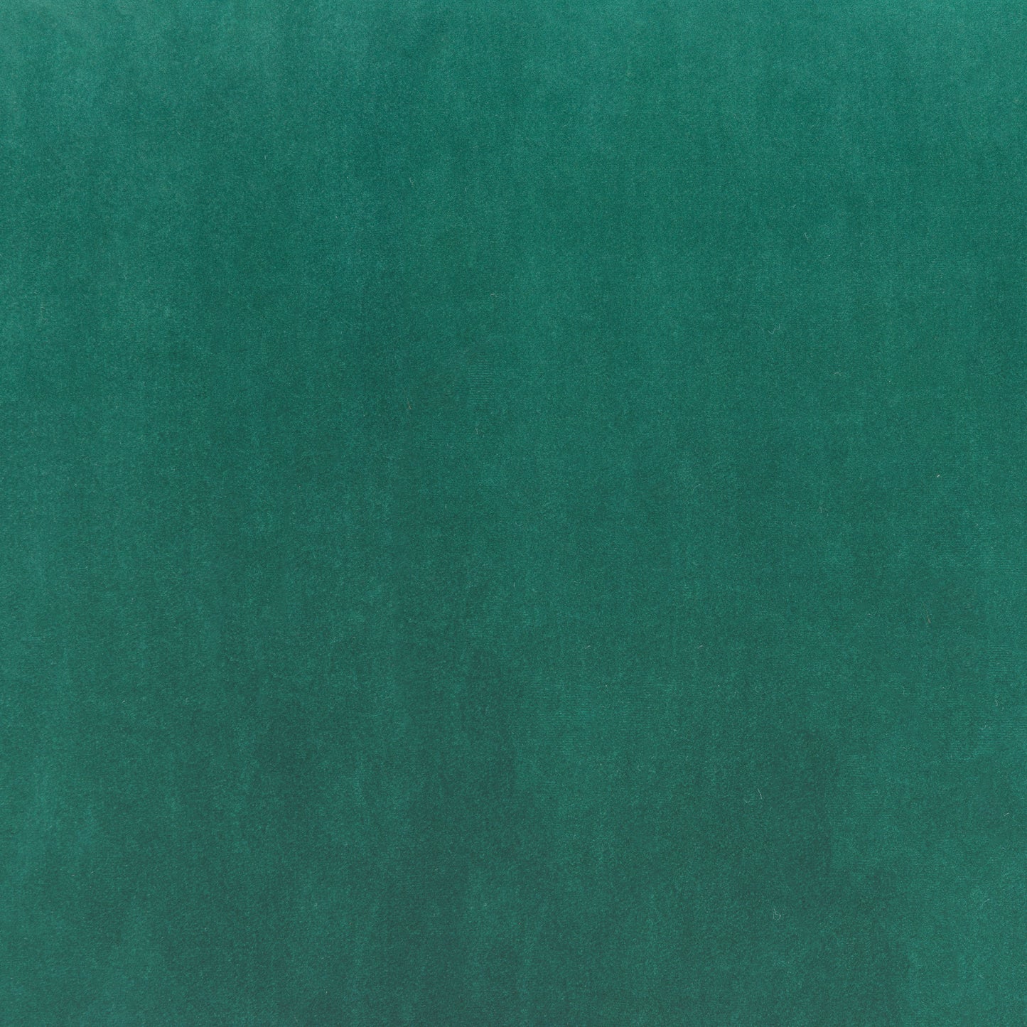 Nicole Accent Chair (Set of 2) Green