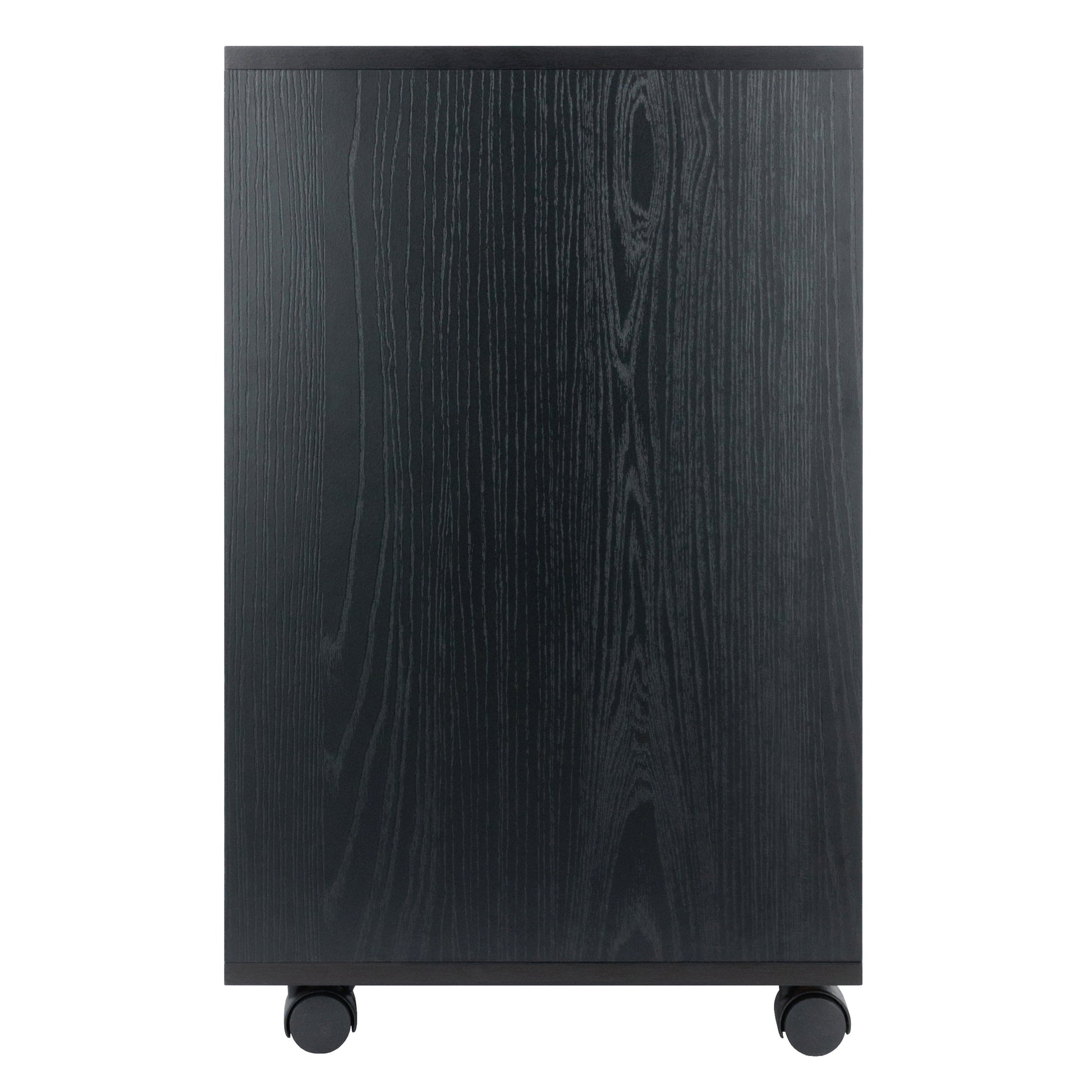 Norfolk 6 Bins, 2 Drawer Mobile Cabinet, Black Finish
