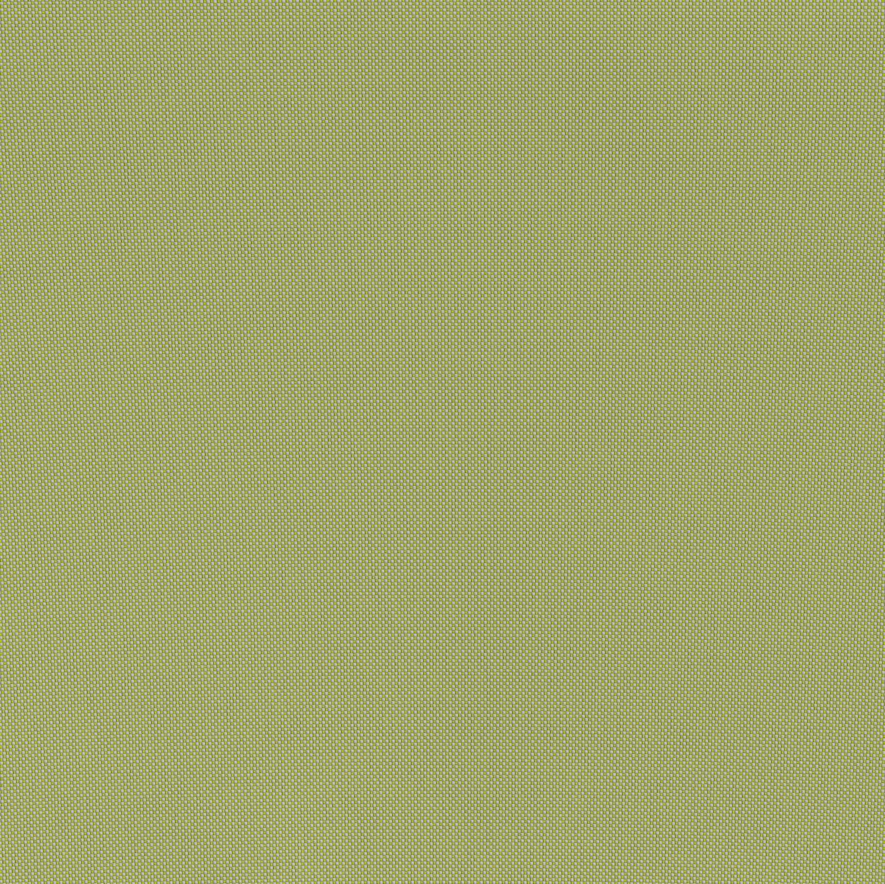 Lychee Armchair Green - 7